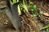 Root Slayer Radius Garden Shovel – 2017 Green Thumb Award for Most Innovative Garden Tool, Red - 3