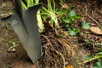 Root Slayer Radius Garden Shovel – 2017 Green Thumb Award for Most Innovative Garden Tool, Red