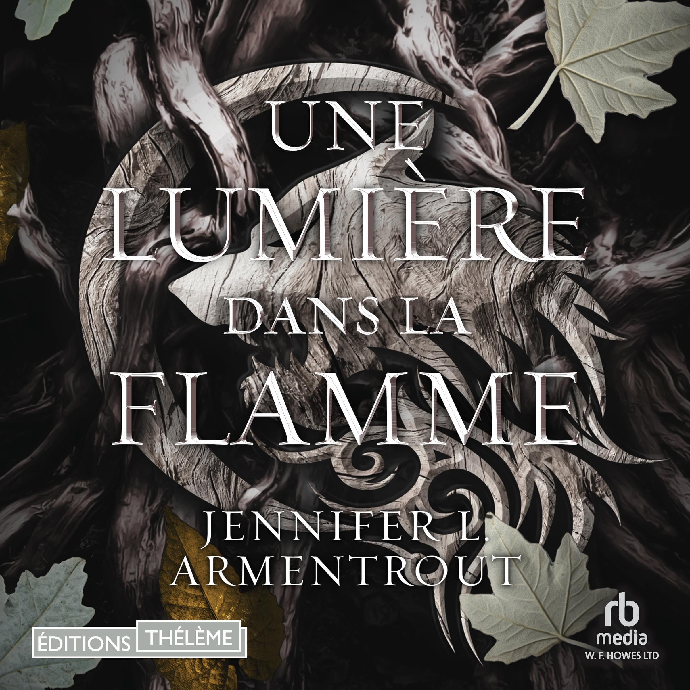 Cover art for Une lumi&egrave;re dans la flamme