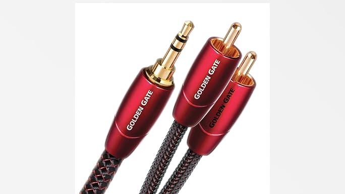 Amazon.com: AudioQuest Golden Gate 3.5mm Mini > RCA Audio