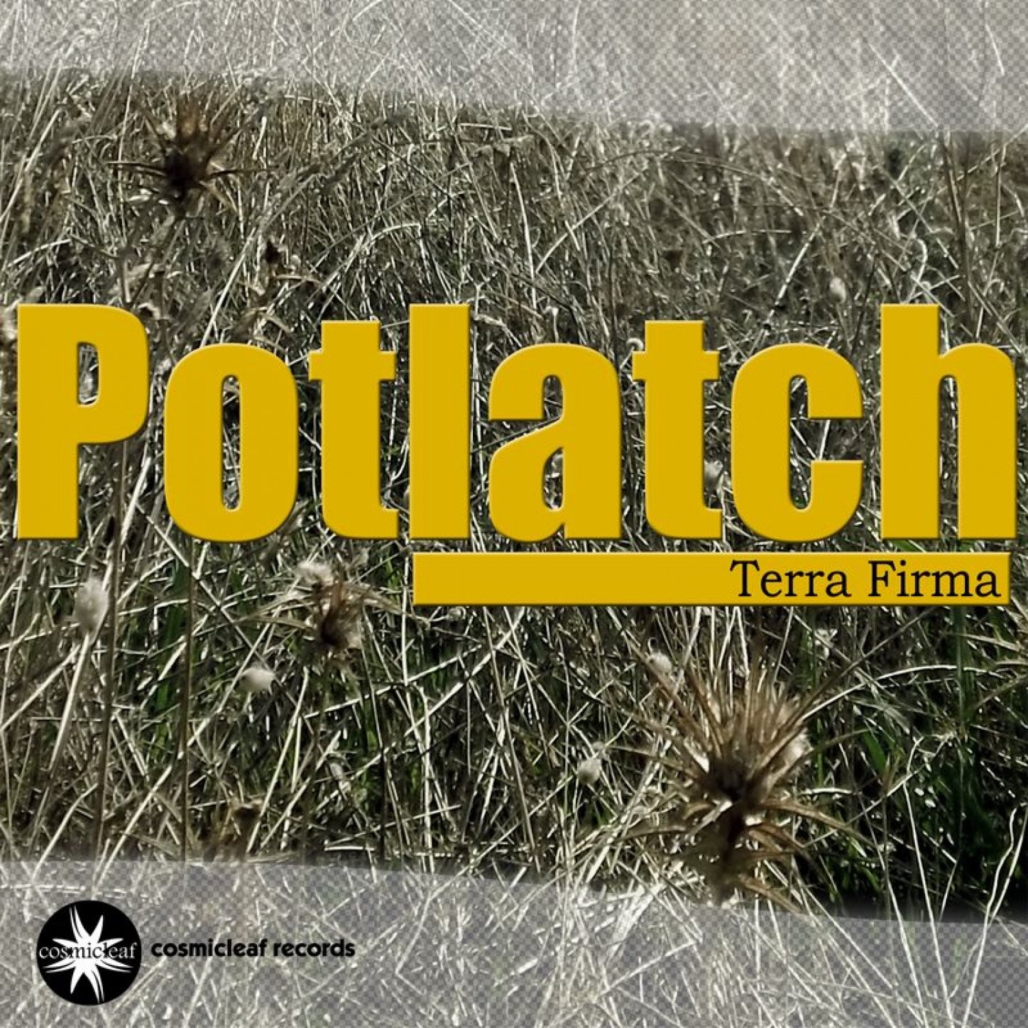 Potlatch