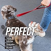 Vista 5 de Correa corta para perros con mango de tráfico para perros grandes. Ideal para acopladores de perro doble, perros de servicio y entrenamiento, 18