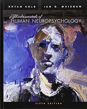 Amazon.com: Fundamentals of Human Neuropsychology