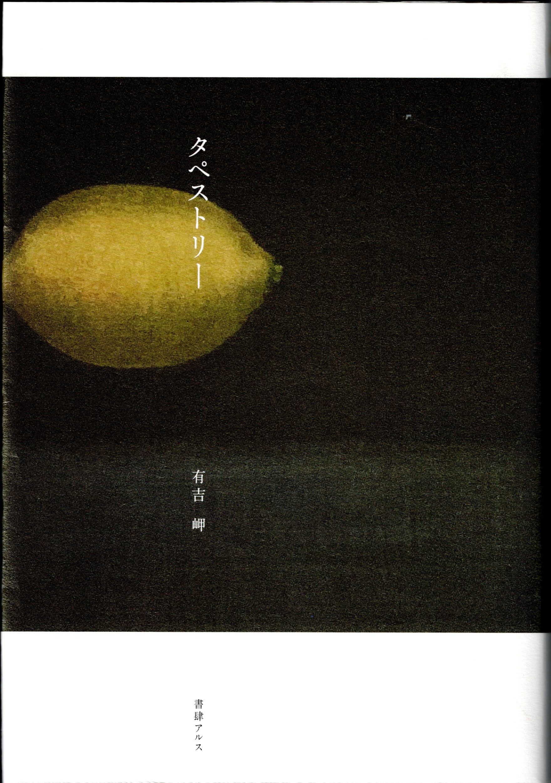 Amazon.co.jp: タペストリー (小説) : 有吉 岬: 本