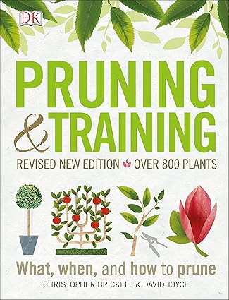 Pruning and Training, Revised New Edition: What, When, and How to Prune ...