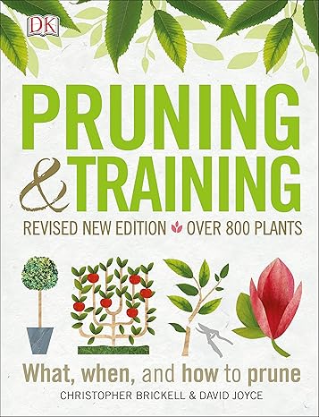 Pruning and Training, Revised New Edition: What, When, and How to Prune ...