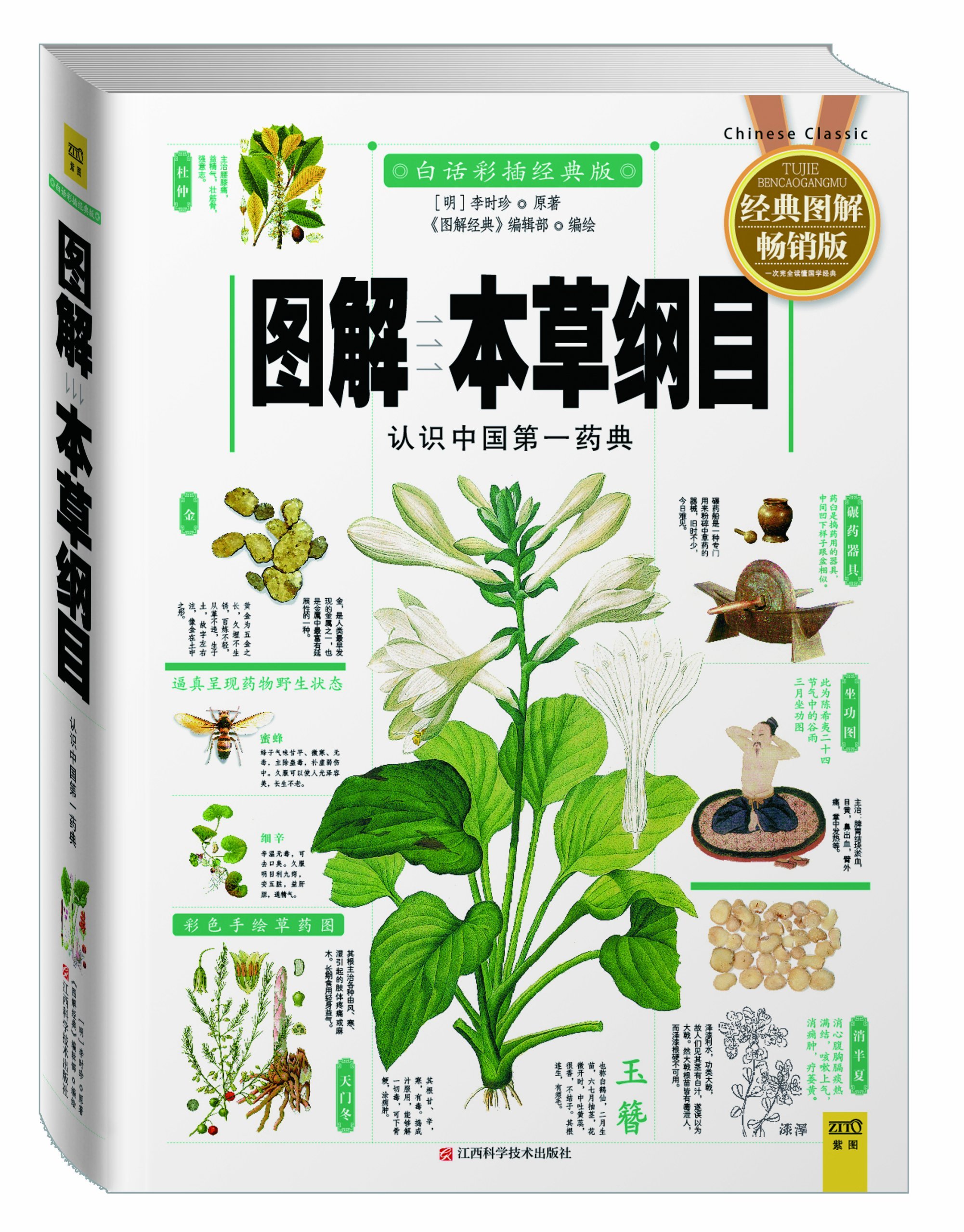 FLORA 本草纲目 10点セットおまけ付き 91lUBPc5uCL.jpg