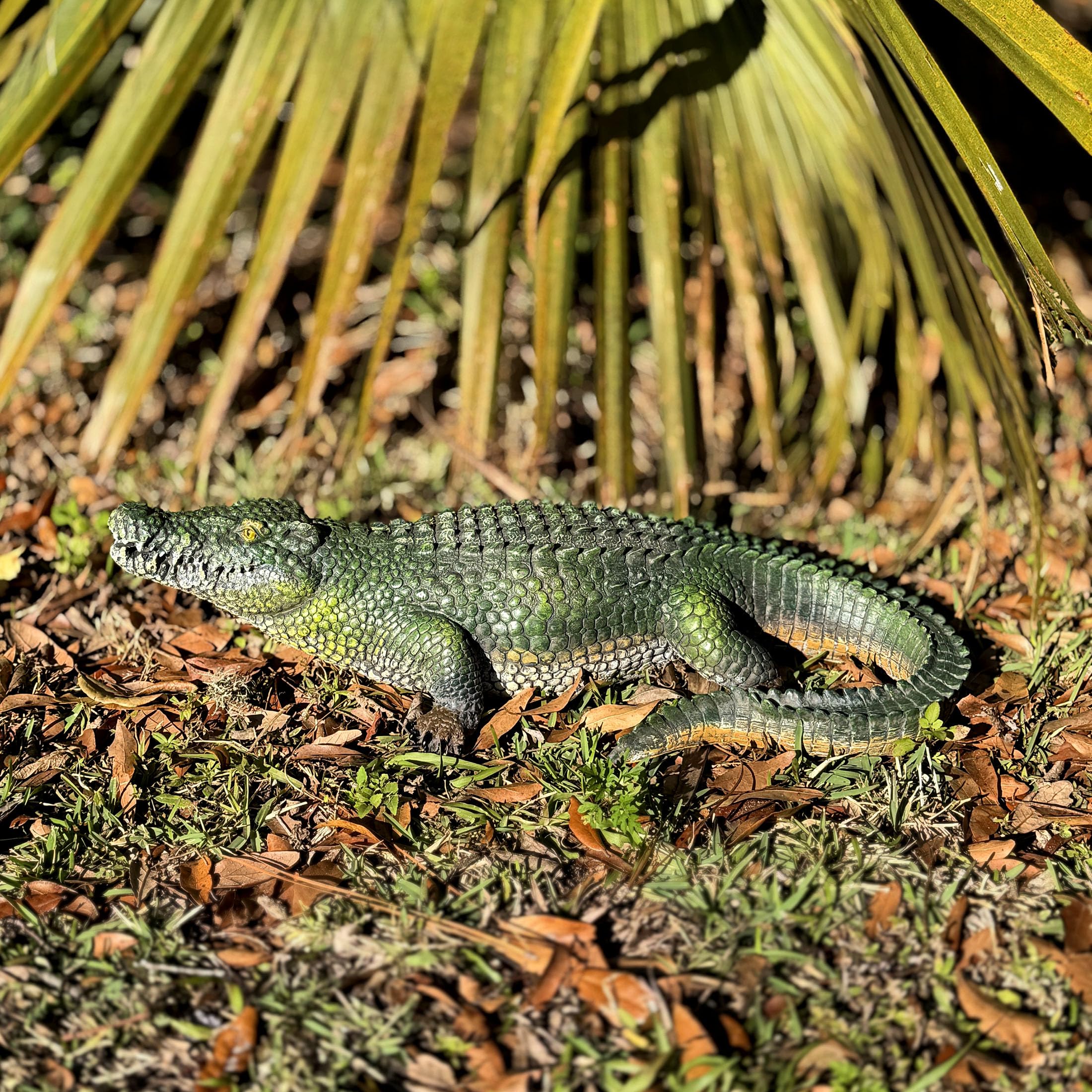 21 pulgadas Alligator Gator de Estatua de jardín Figura