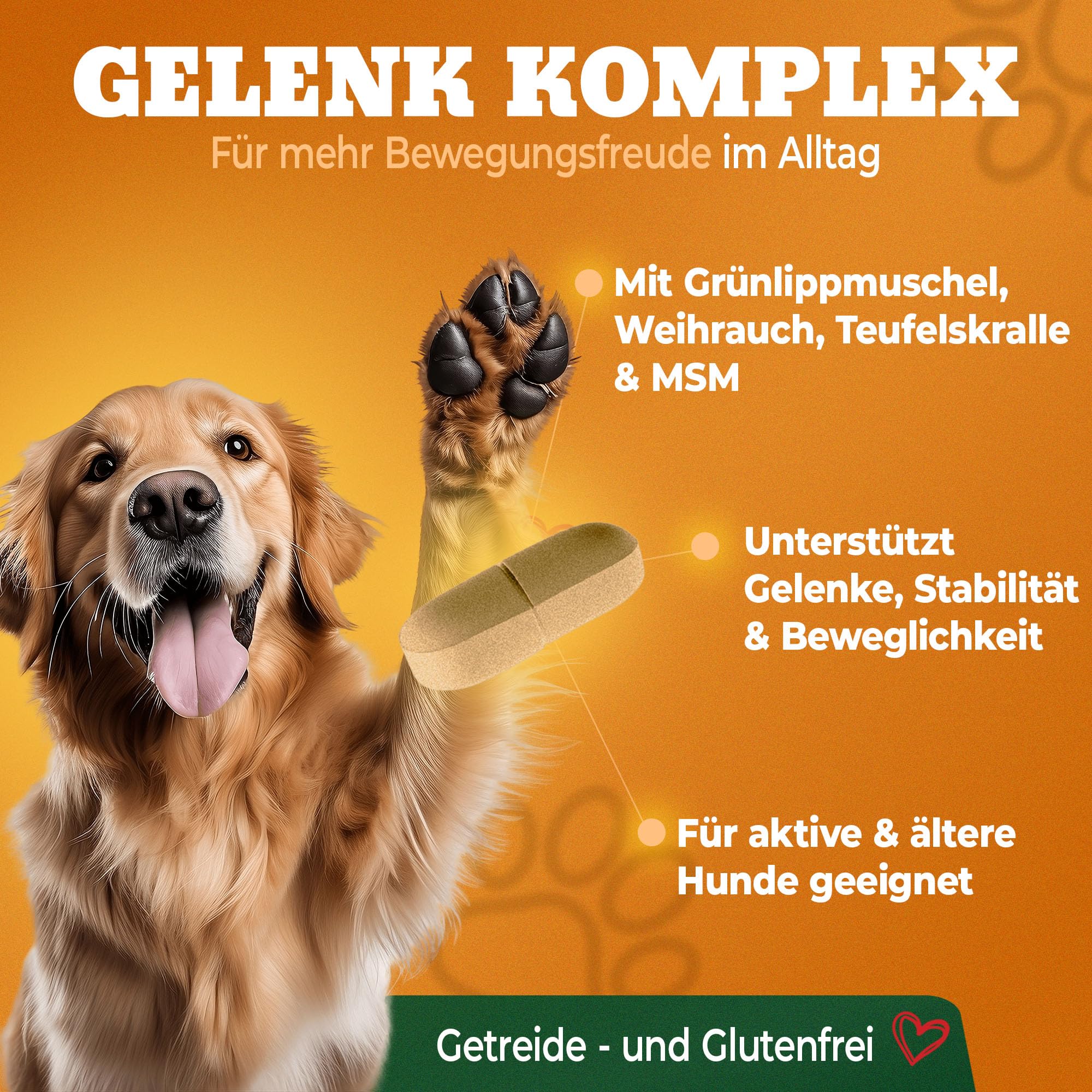 Gelenktabletten Hund - Grünlippmuschel Hund - Gelenkkomplex Vital Rezeptur mit Weihrauch Teufelskralle & MSM - Grünlippmuschel Kapseln - Unterstützt Gelenke & Beweglichkeit Made in Germany