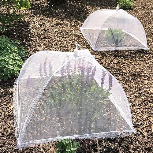 Miniatura 8 de Simply Genius Pop-Up Mesh Food Covers - 17 x 17 in, White, 6 Pack, Large & Tall - Reusable & Collapsible Food Tents for Outdoor Serving