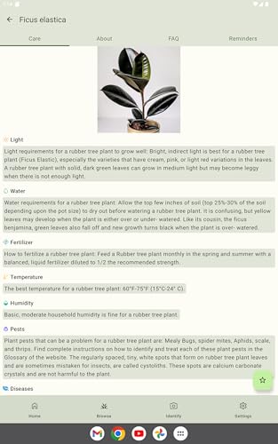 Plant Care - Identify Flowers