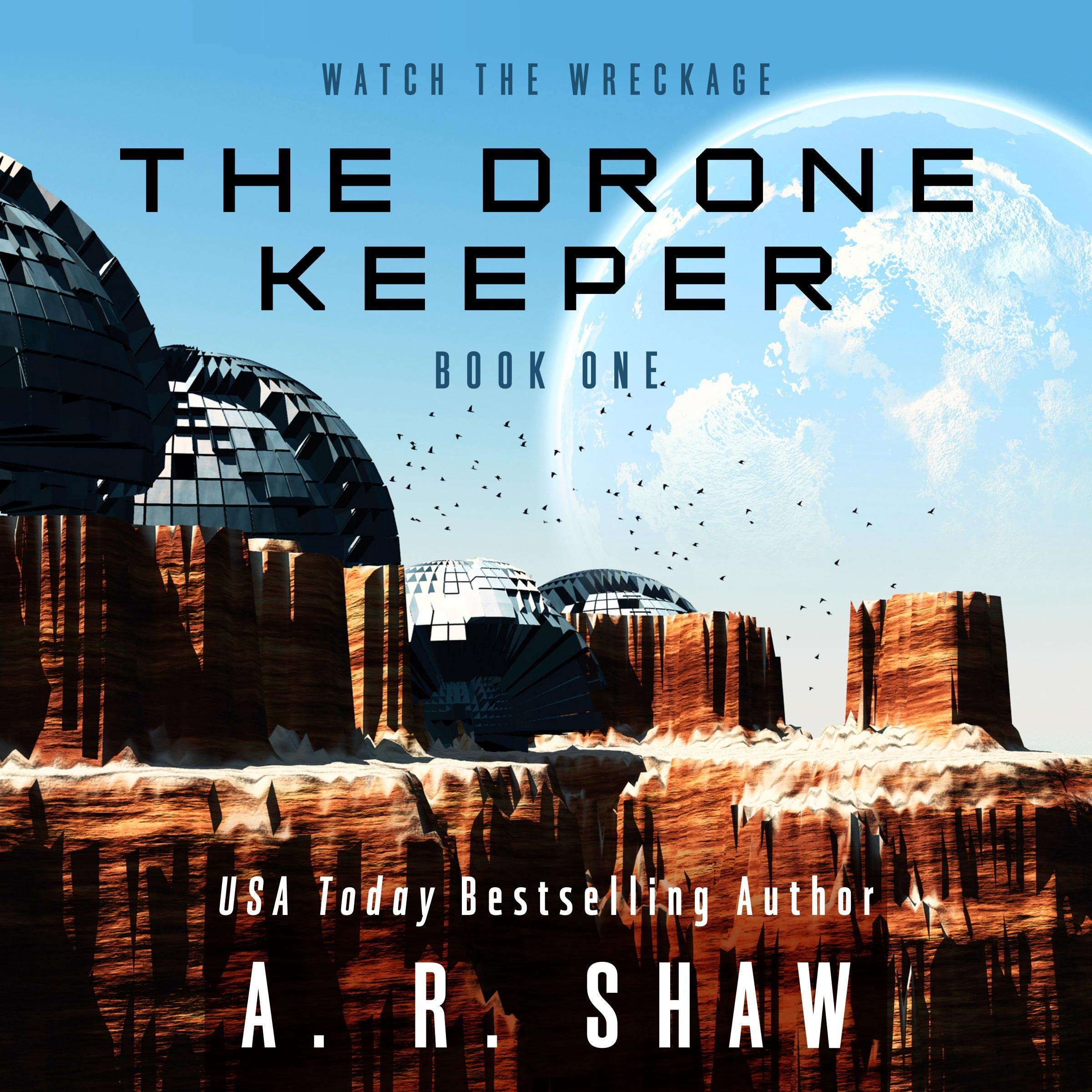 Cover art for The Drone Keeper