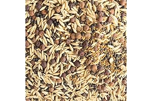 1 lb ~6,800 Organic Winter Cover Crop Seed Mix Forage Habitats & Pollinators