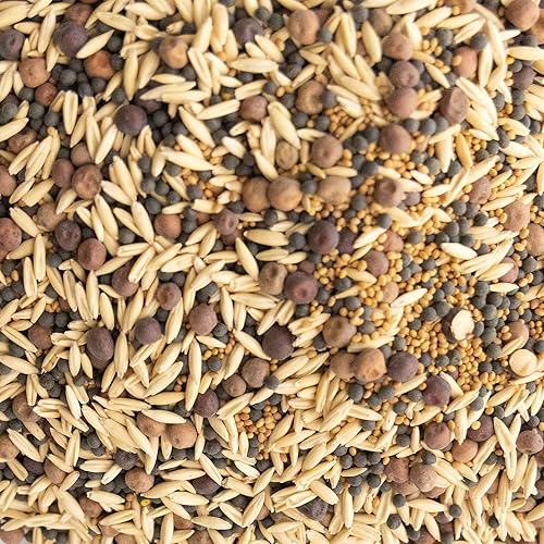 Cover Crop Seed Mix Organic - Mezcla de cultivos de cobertura apta para polinizadores y abejas, 25 libras a granel  170,000 semillas, mezcla de