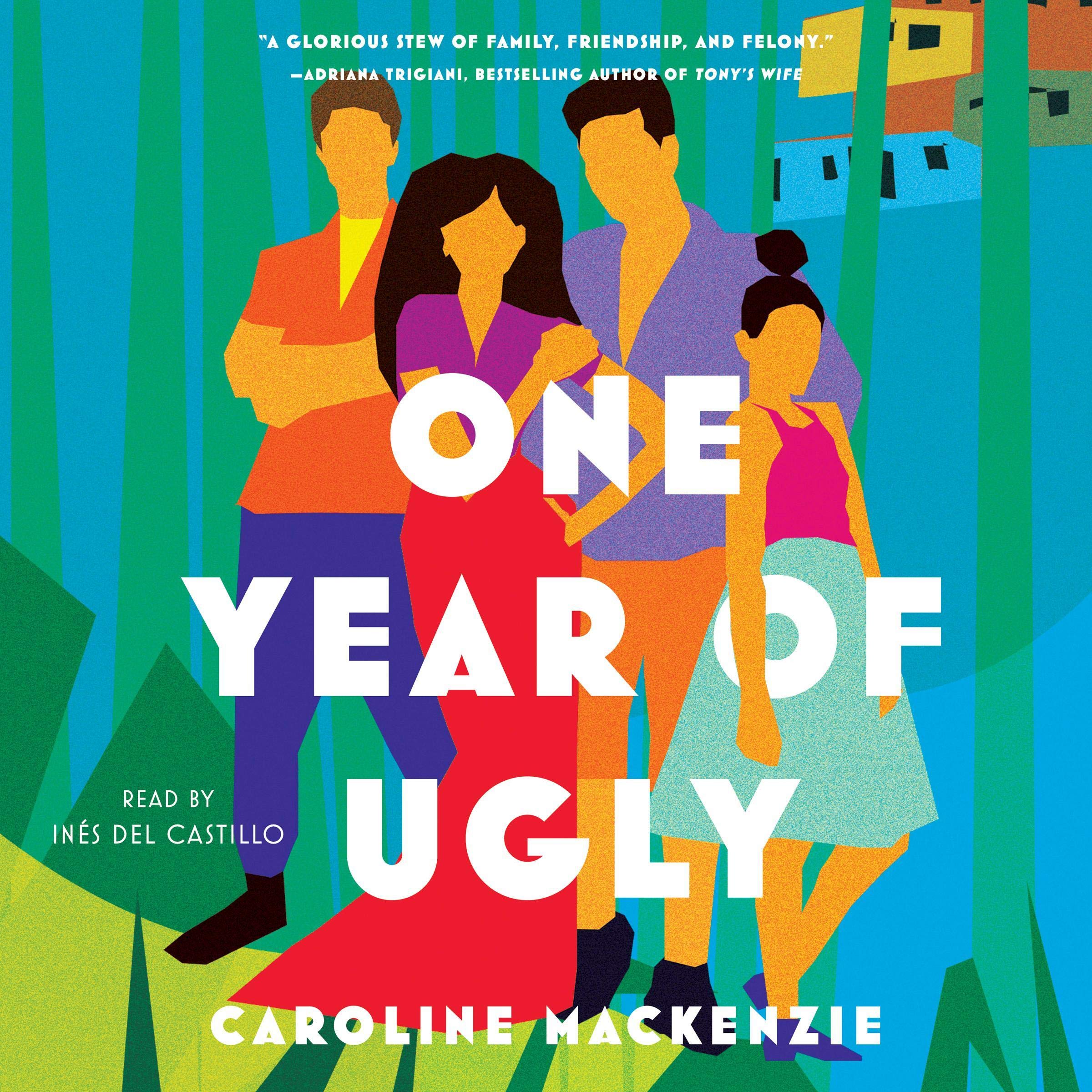 Cover art for One Year of Ugly