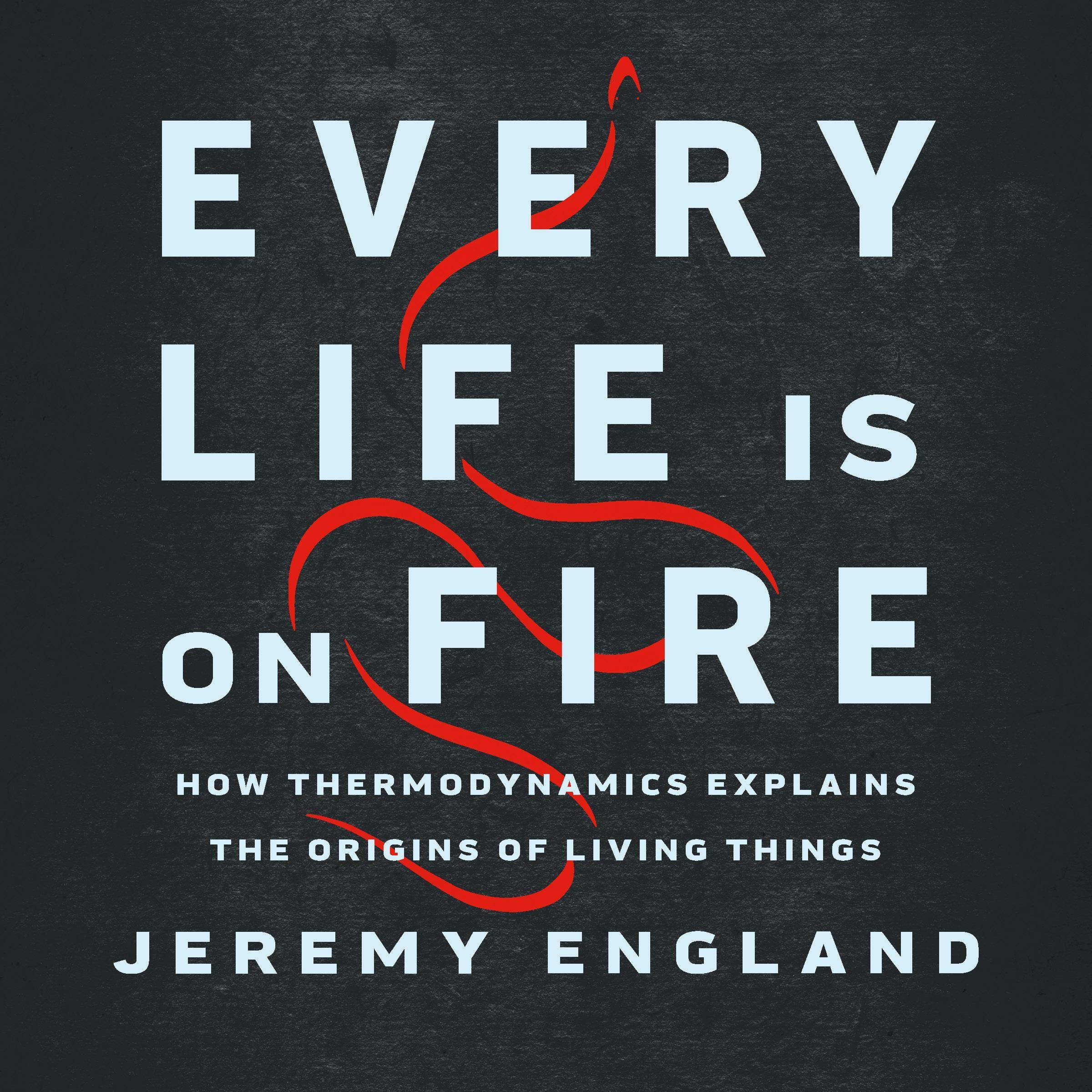Cover art for Every Life Is on Fire