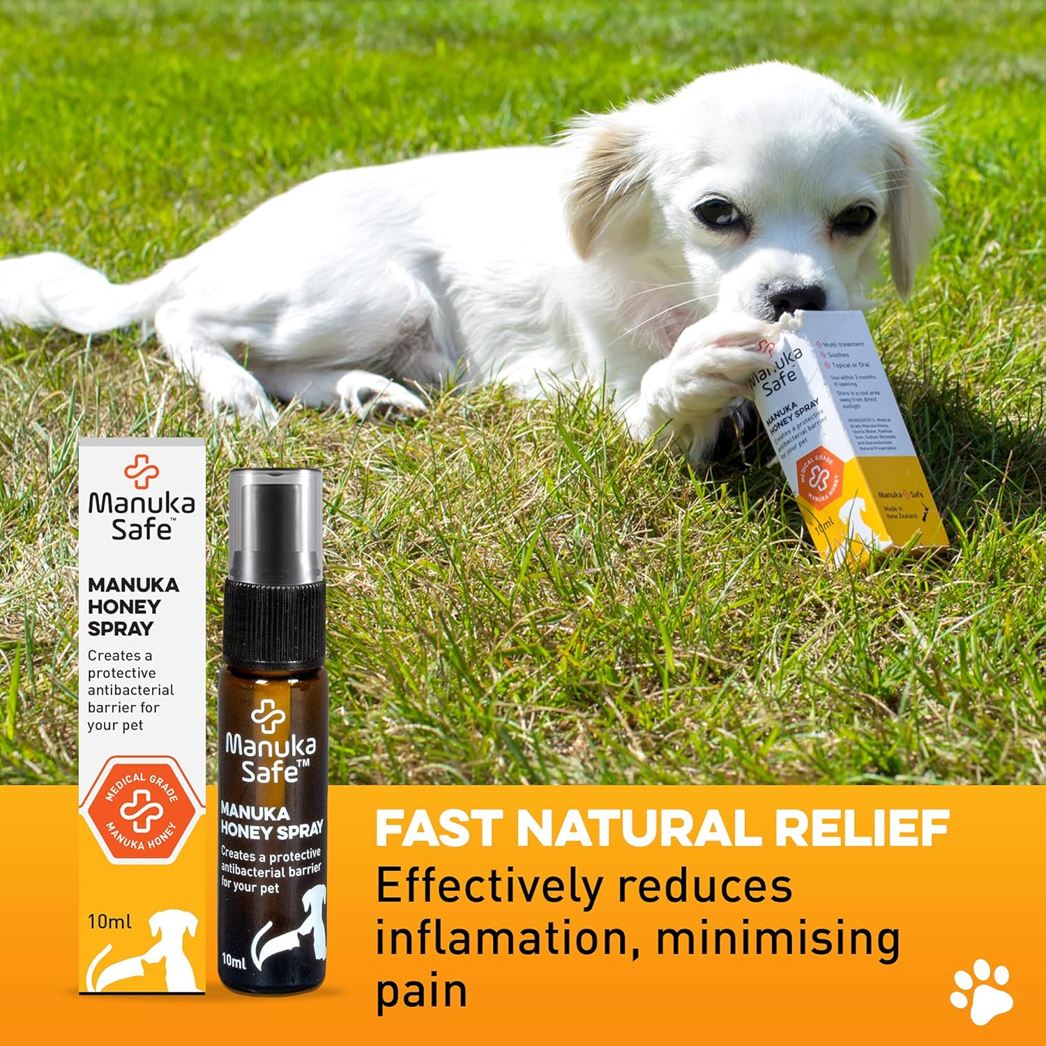 Is Honey Safe For Dogs