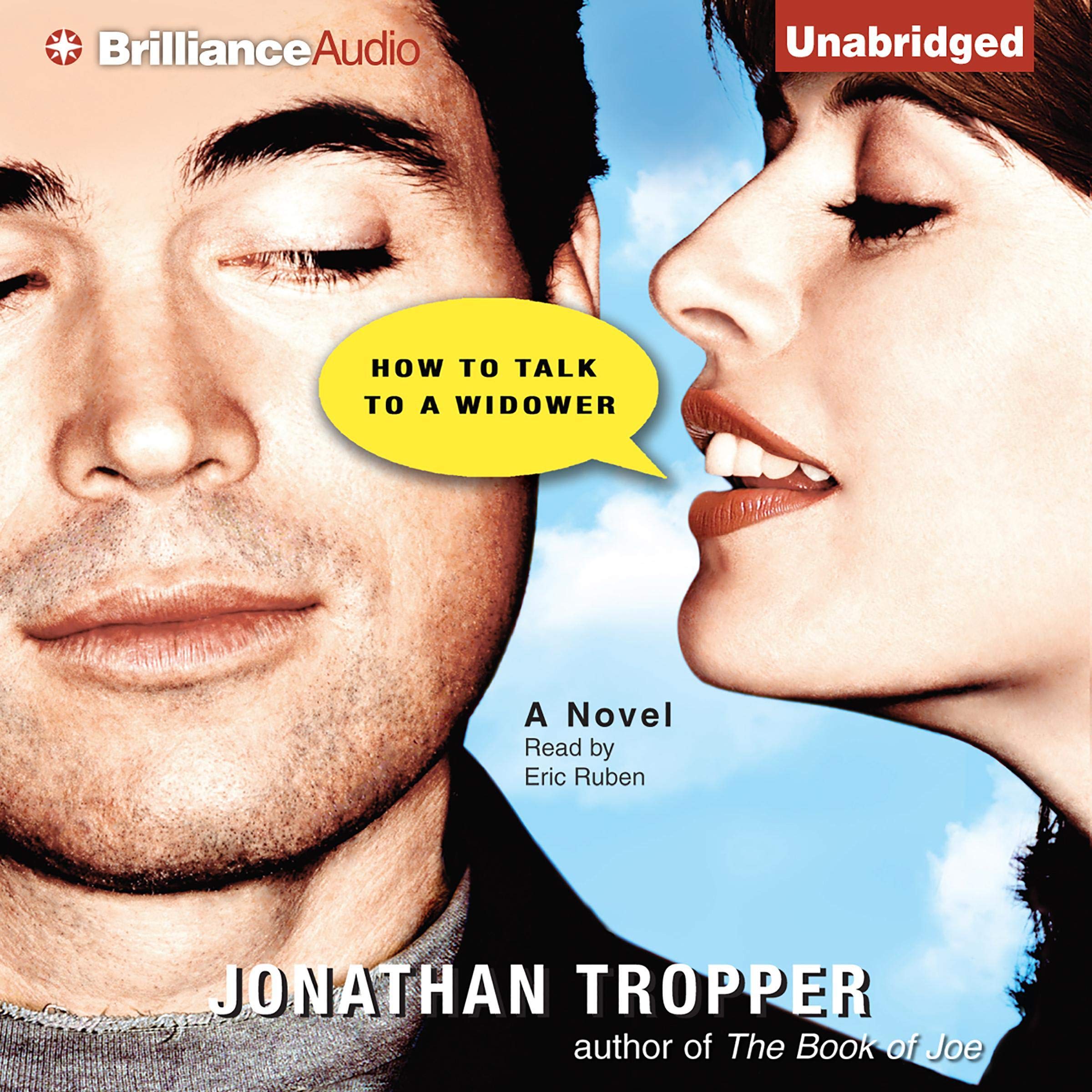 Cover art for How to Talk to a Widower
