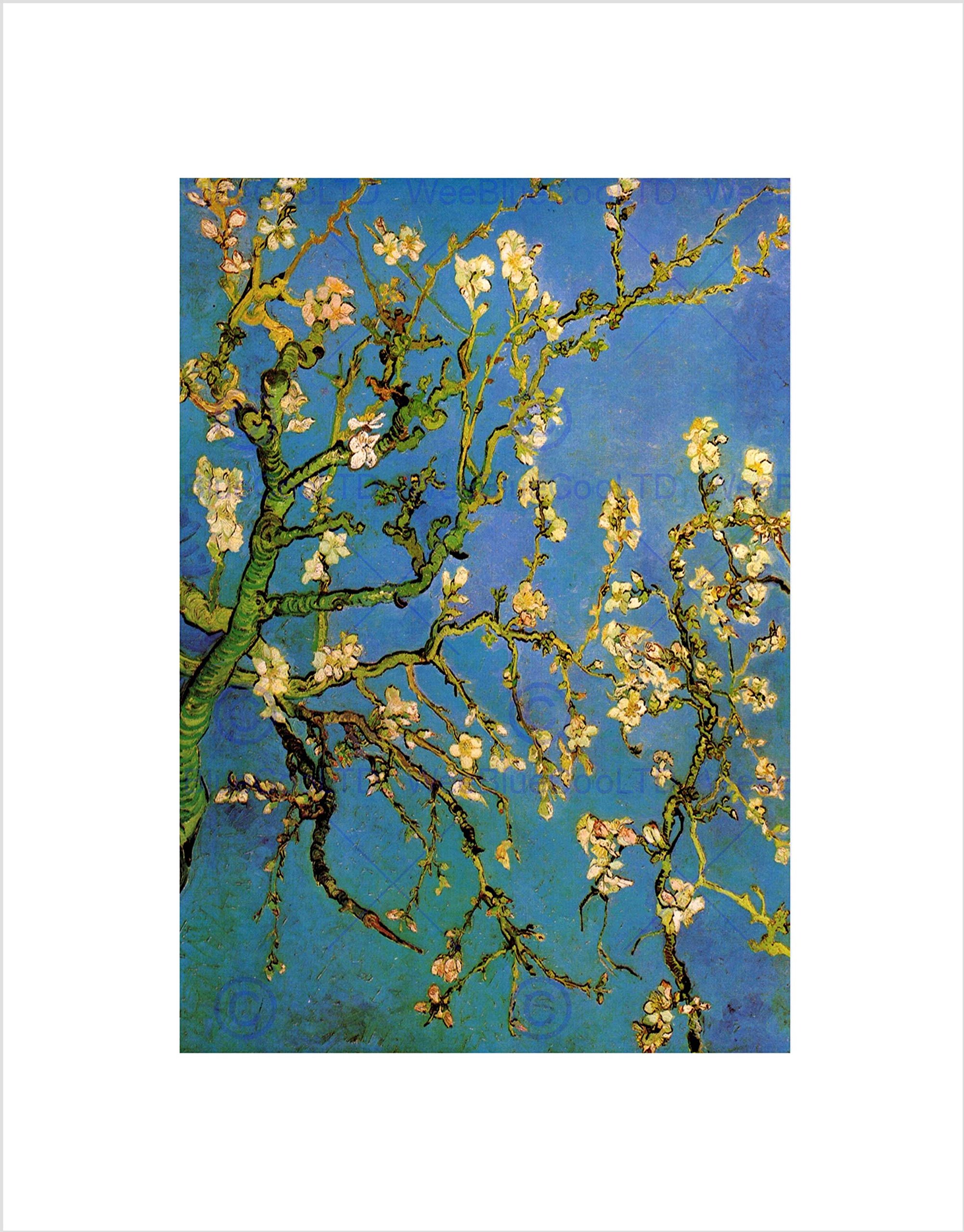 Wee Blue Coo Van Gogh Branches With Almond Blossom 1890 Wall Art Print