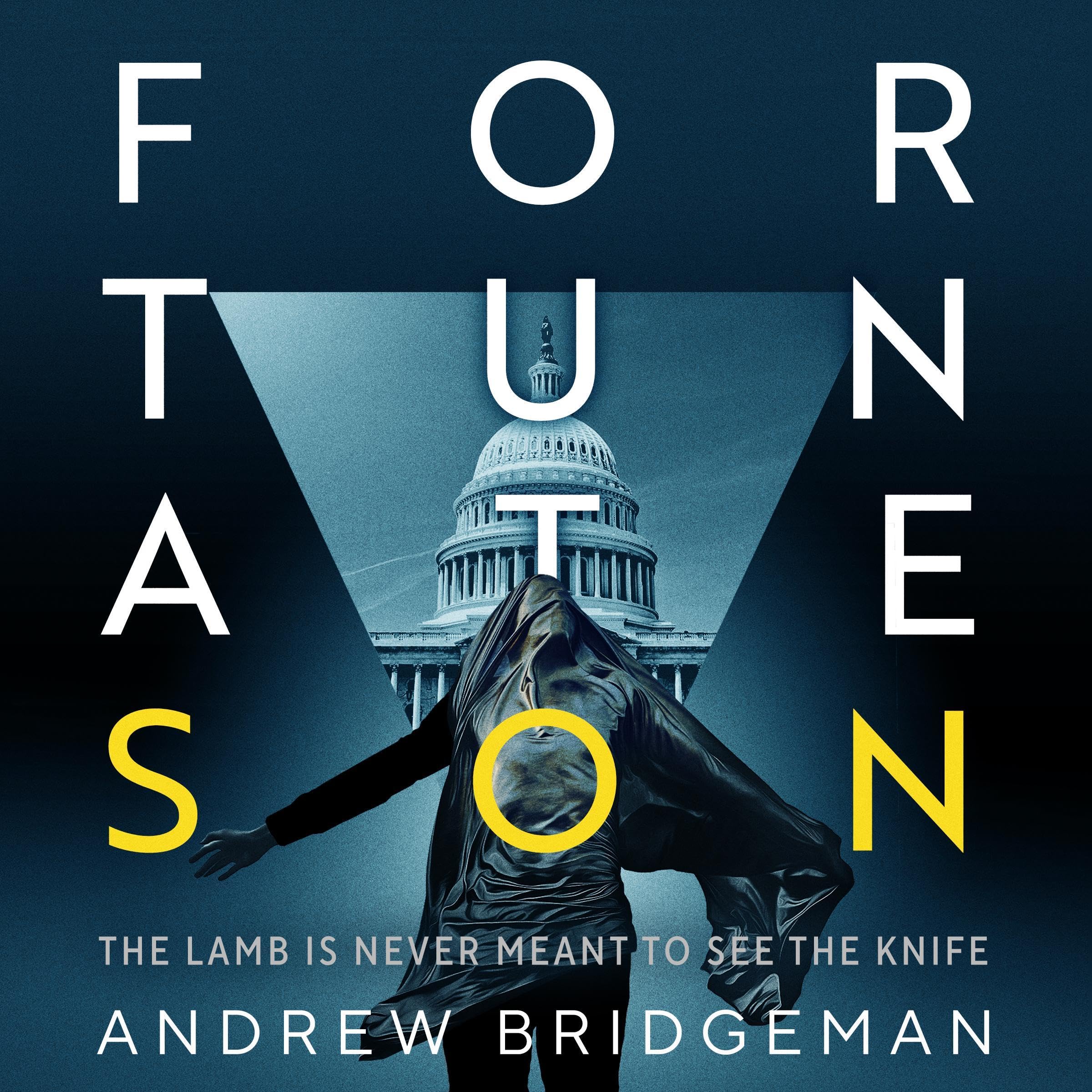 Cover art for Fortunate Son: A Suspenseful Psychological Thriller