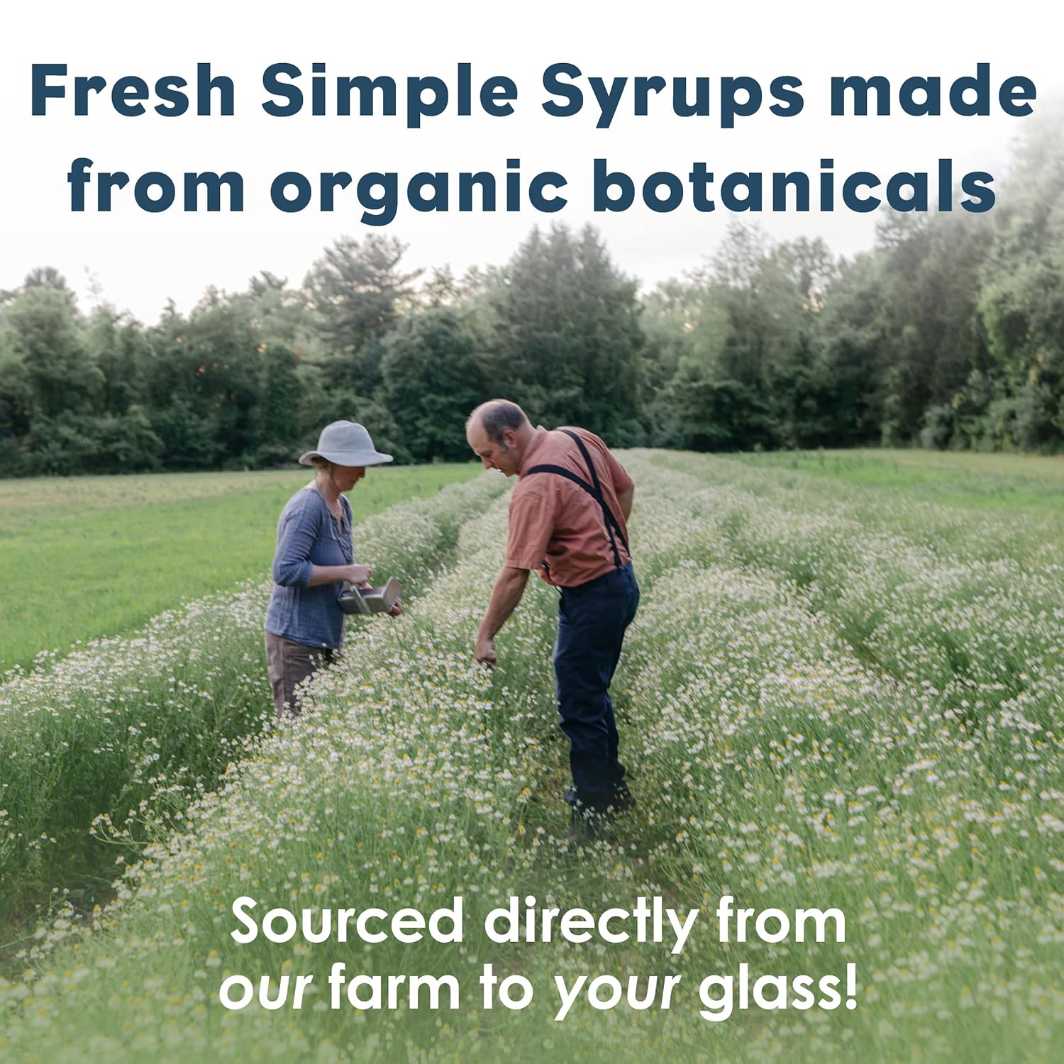 Bluestem Botanicals Organic Lavender Simple Syrup, 8 oz, Cocktail and Mocktail Mixer for Drinks, Non-Alcoholic - Image 4