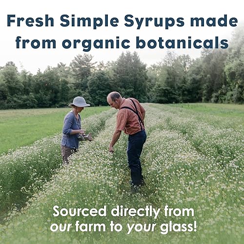 Miniatura 24 de Bluestem Botanicals Jarabe simple de romero orgánico, 8 onzas, mezclador de cóctel y cola sin alcohol para bebidas, sin alcohol