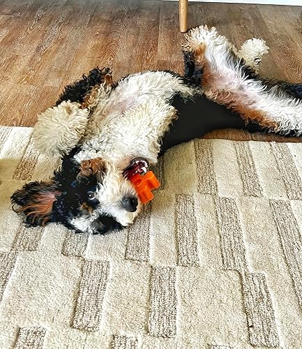 Miniatura 4 de Juguete para perros Pup Puck para masticadores agresivos. Juguetes masticables resistentes y duraderos para todas las razas de perros. Centro