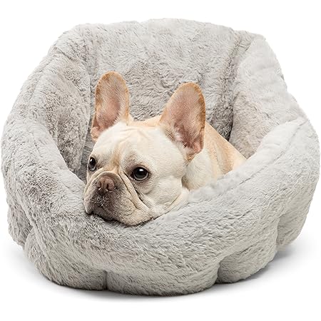 standard dog bed sizes