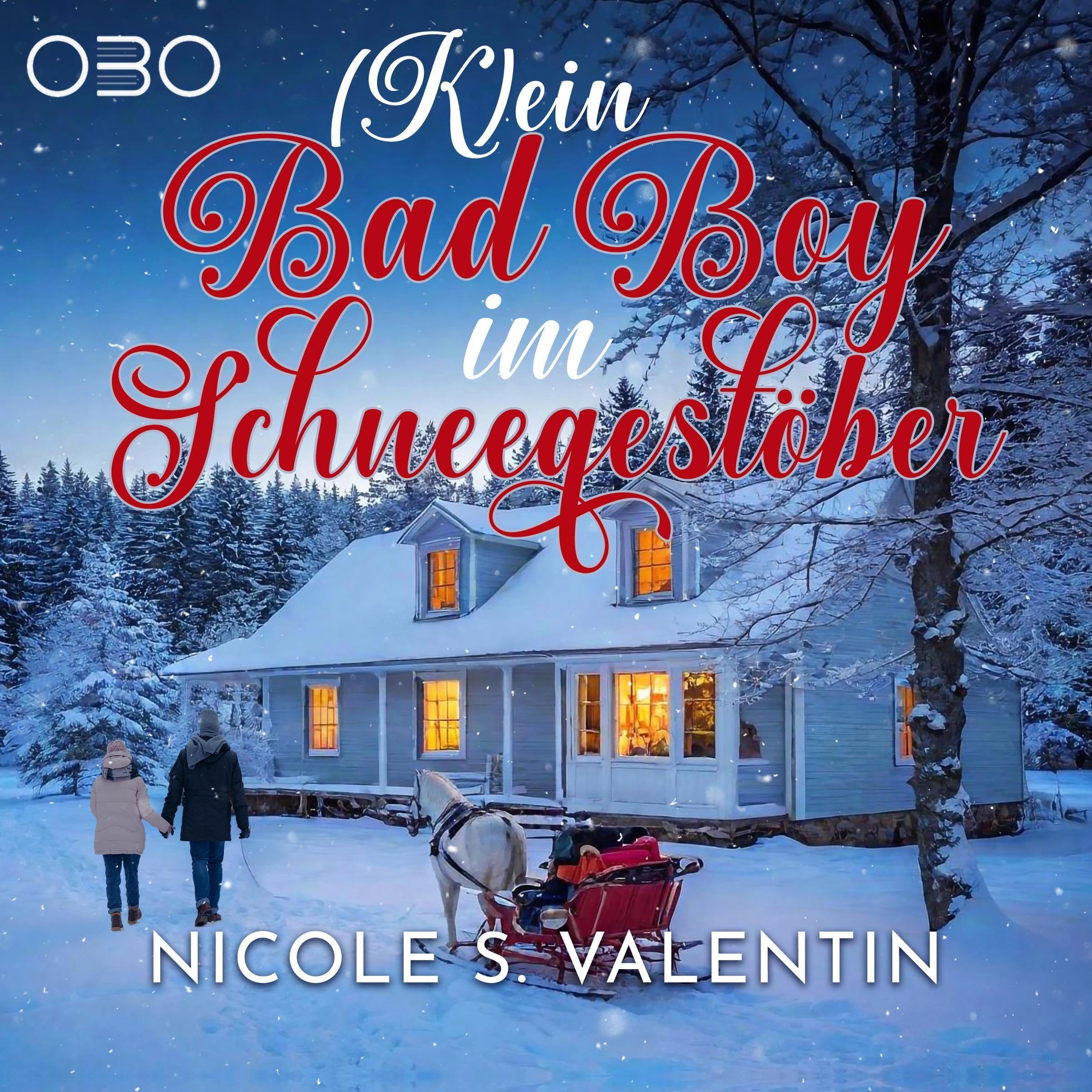 (K)ein Bad Boy im Schneegestöber [(Not) a Bad Boy in the Snowstorm]