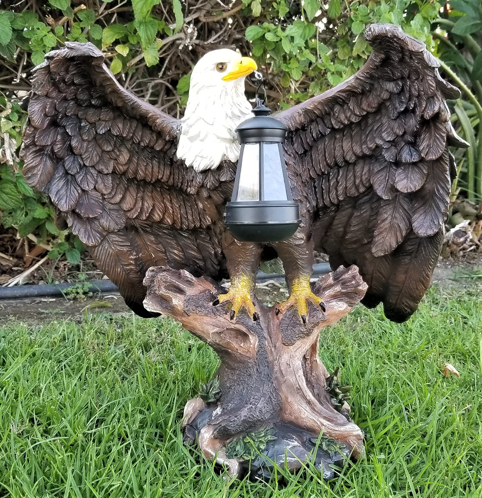 Solar American Bald Eagle Statue with Solar LightEA Buy Online in