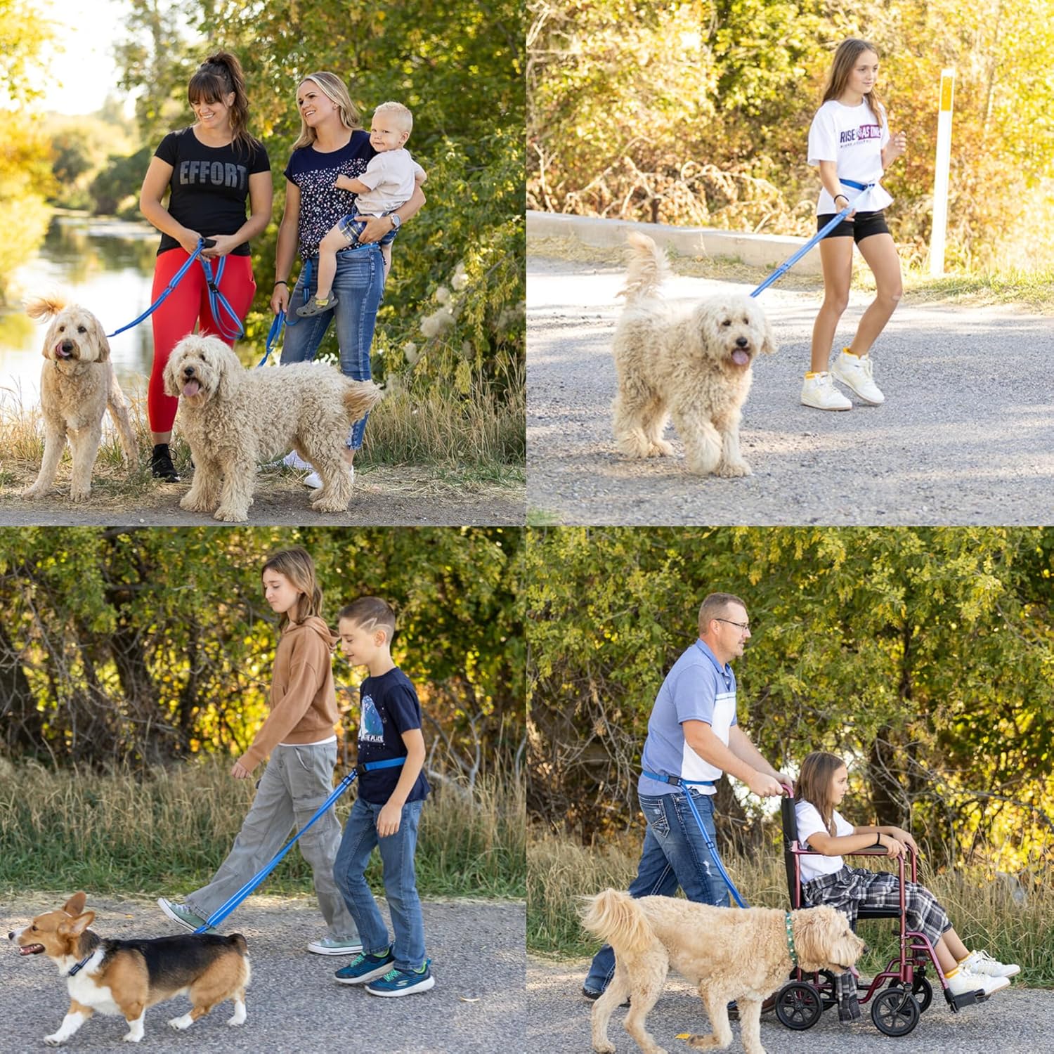 Pet Products Hands Free Dog Leash, Around The Waist, Crossbody, Solid Handle, Heavy Duty, (Blue)