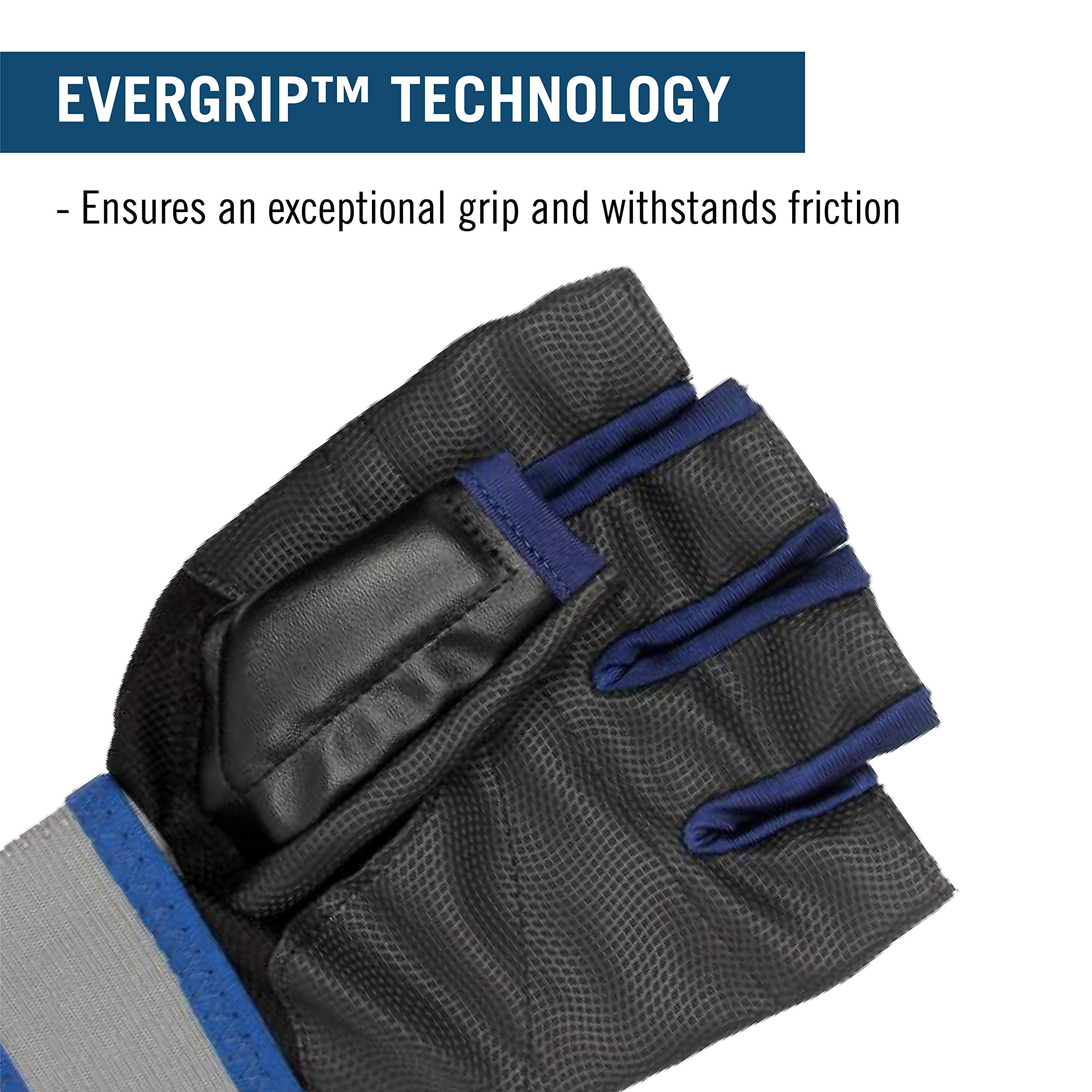 Amazon.co.jp: Everlast P00000361 ユニバーサルフィットグローブ