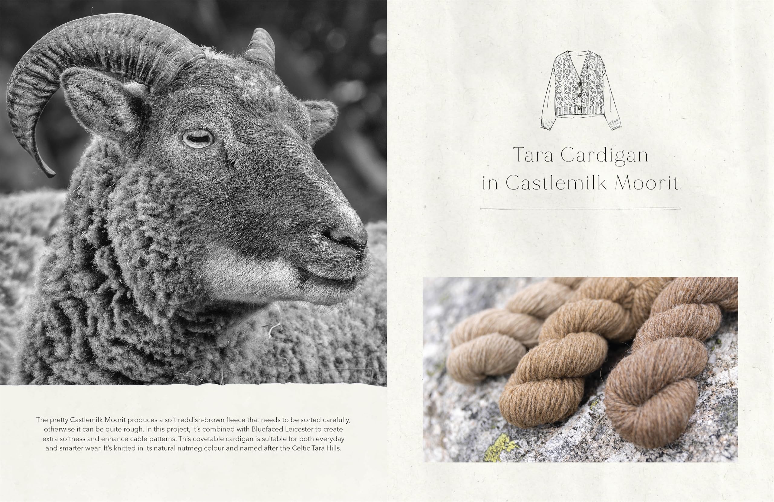 The Wonder of Wool: A knitter's guide to pure breed sheep