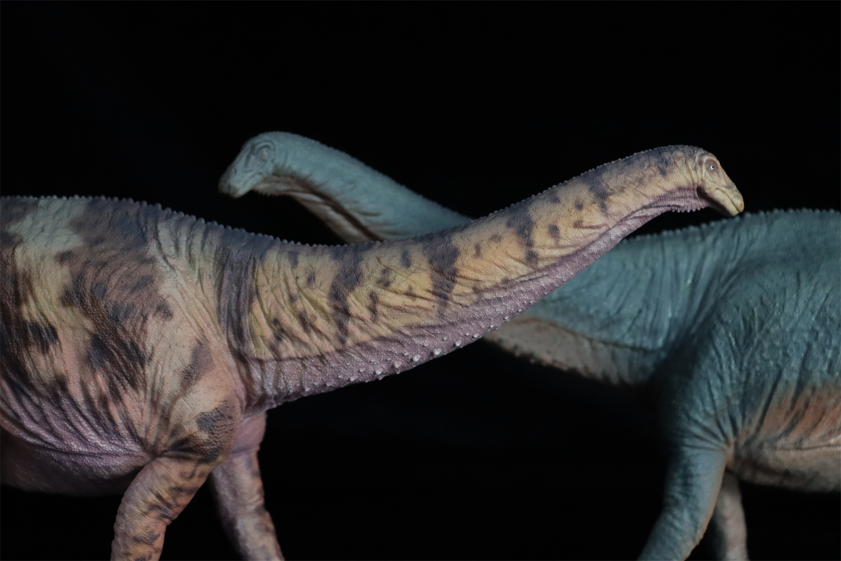 Modèle Dinosaure Pvc 1:35 3D Rendering Of A Dinosaur Saurolophus Isolated On White Background Modèle Dinosaure Pvc 1:35 3D Rendering Of A Dinosaur Saurolophus Isolated On White Background