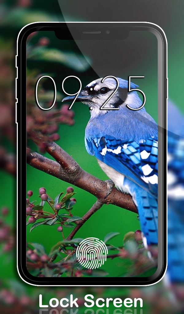 Birds Wallpapers HD & Backgrounds app | No Ads | Lock & Home Screen ...
