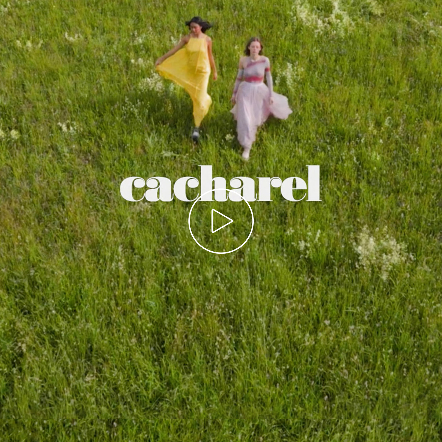 Amazon.com: Cacharel Lou Lou Eau de Parfum Spray Perfume for Women