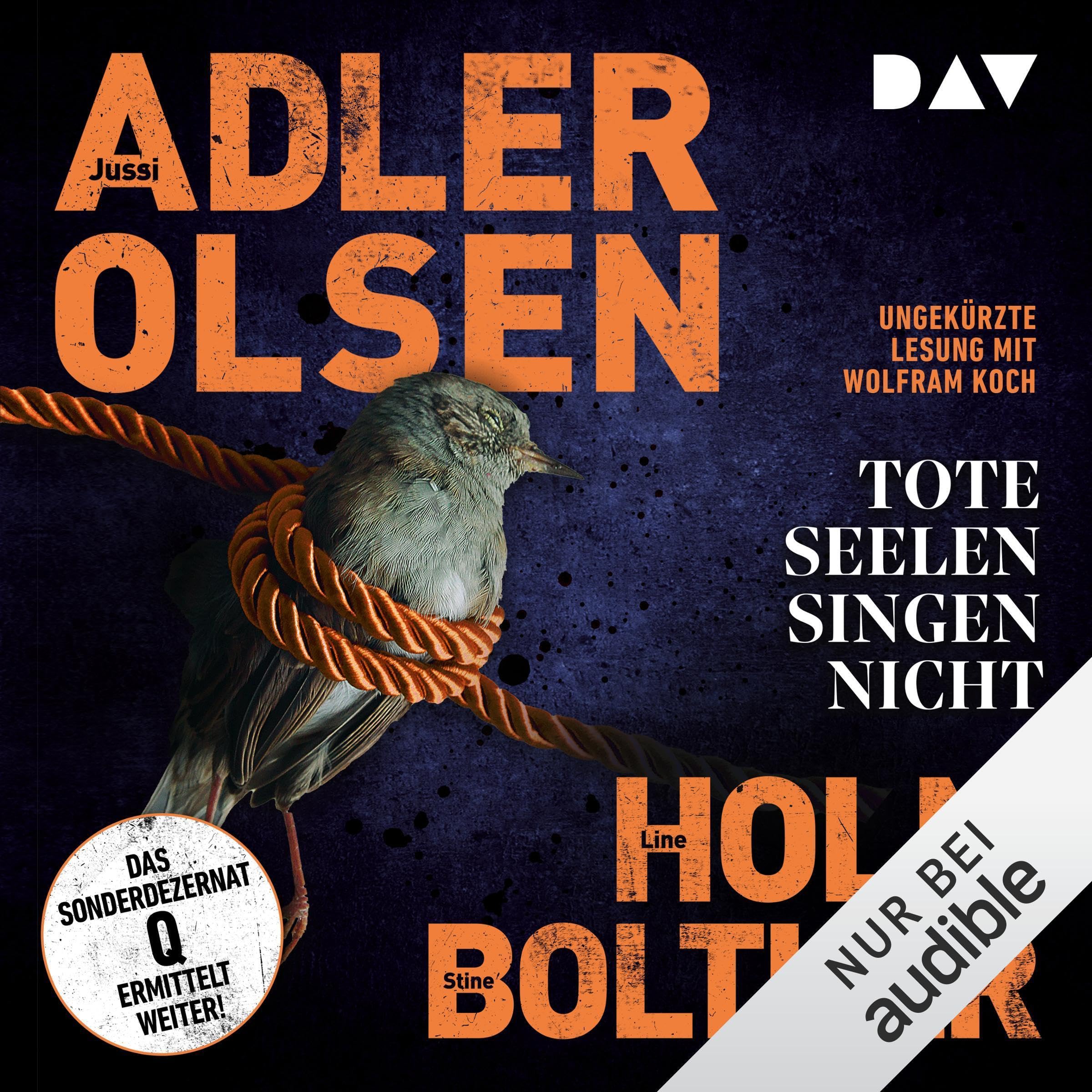 Cover art for Tote Seelen singen nicht. Der elfte Fall für das Sonderdezernat Q in Kopenhagen