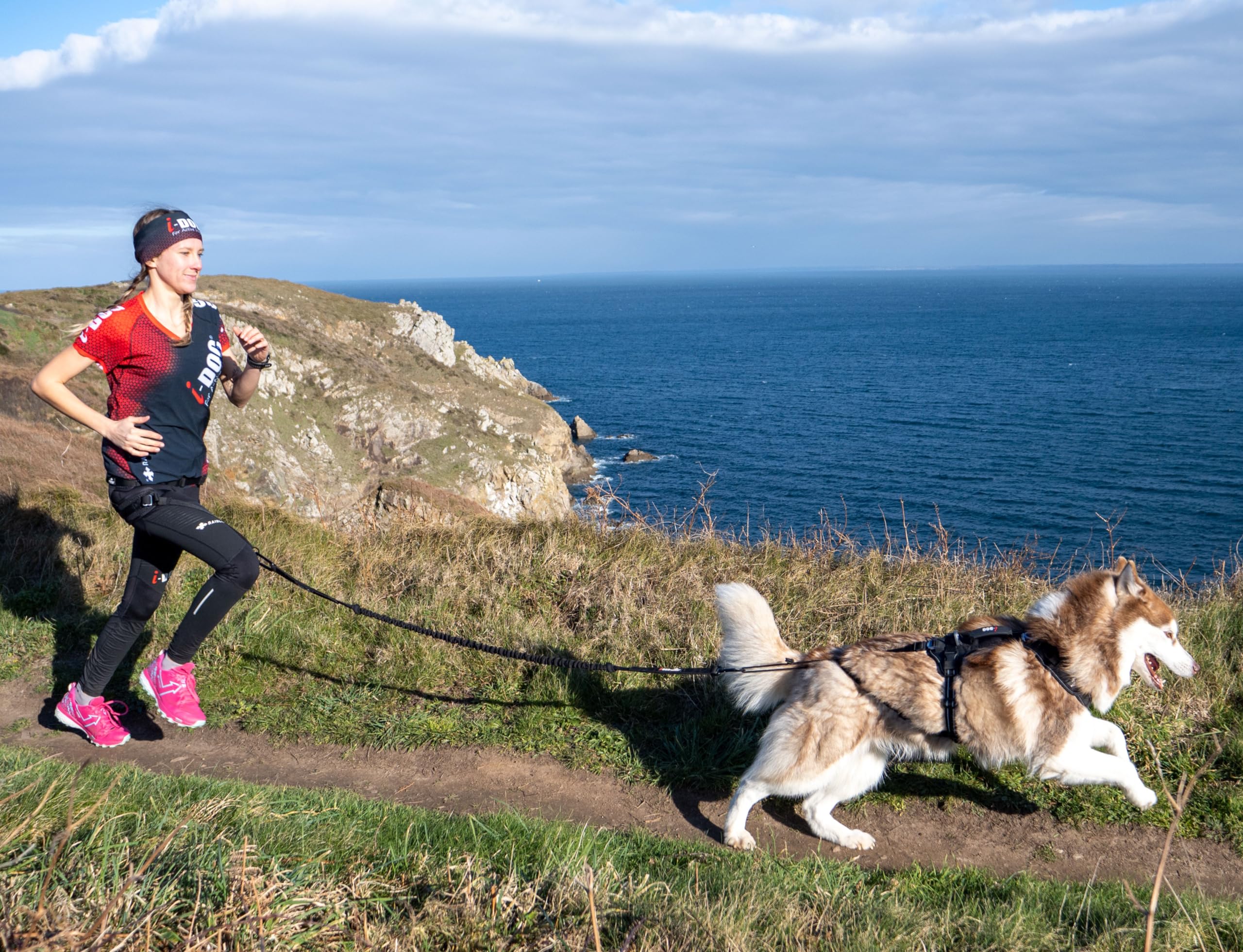 Longe de Traction pour Chien Gamme RAIDLIGHT,190 cm (étirée), Noir canicross, canirando, canijogging, canitrail, Utilisation Intense Sportive ou Loisirs, I-dog Marque Française.