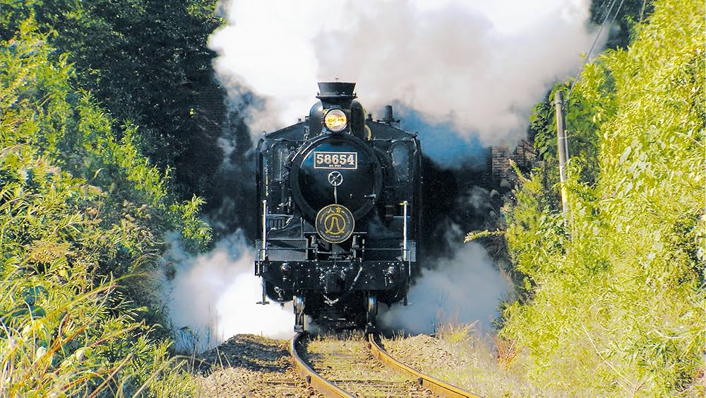 Amazon.co.jp: 劇場版 しんかんせんとわくわくでんしゃ大集合