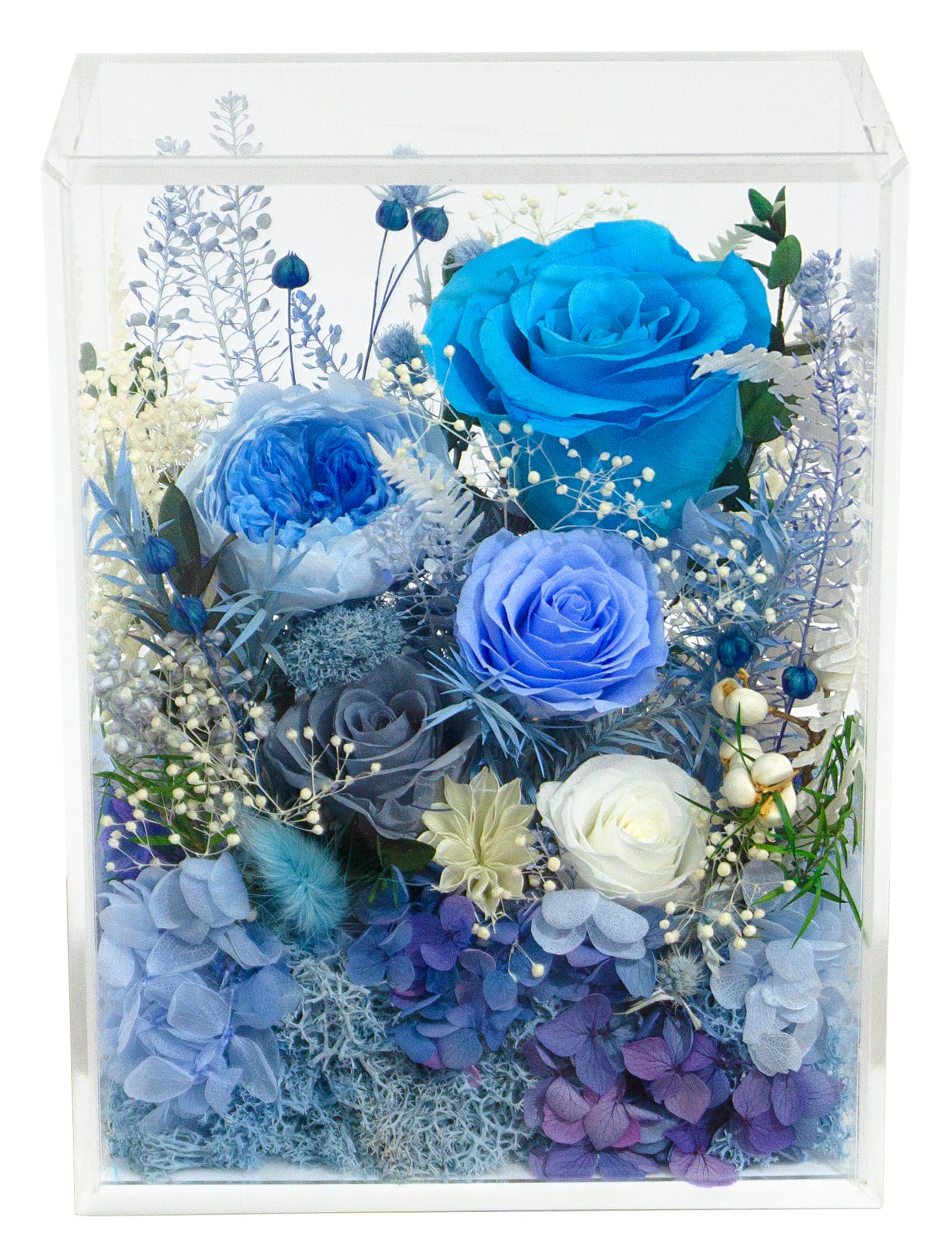 Valley of Rain Forest Long-Lasting Real Flowers Handcrafted Preserved Rose Bush For you to Send Love for All