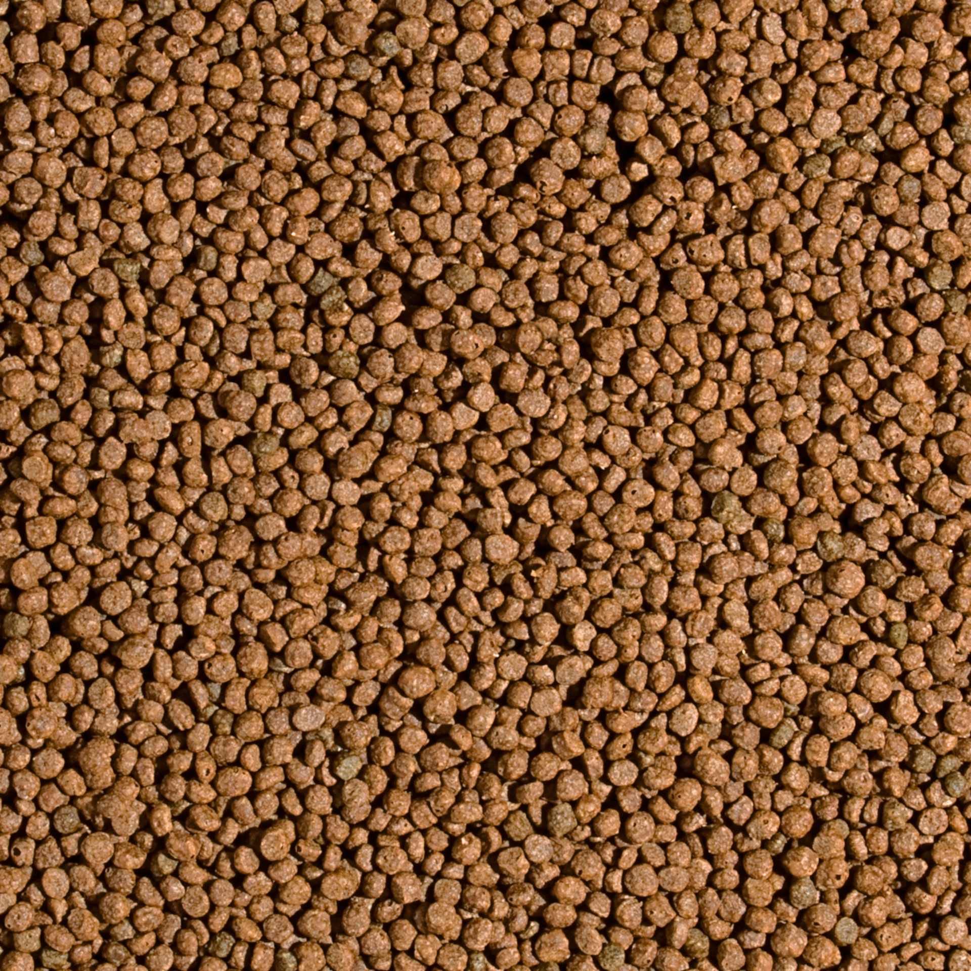 KOI PROBIOTIC SIZE S 1000ml / 320g - mangime per piccoli pesci da laghetto, mangime giornaliero per carpe koi per un ampio intervallo di temperatura dell'acqua da 8 a 30°C