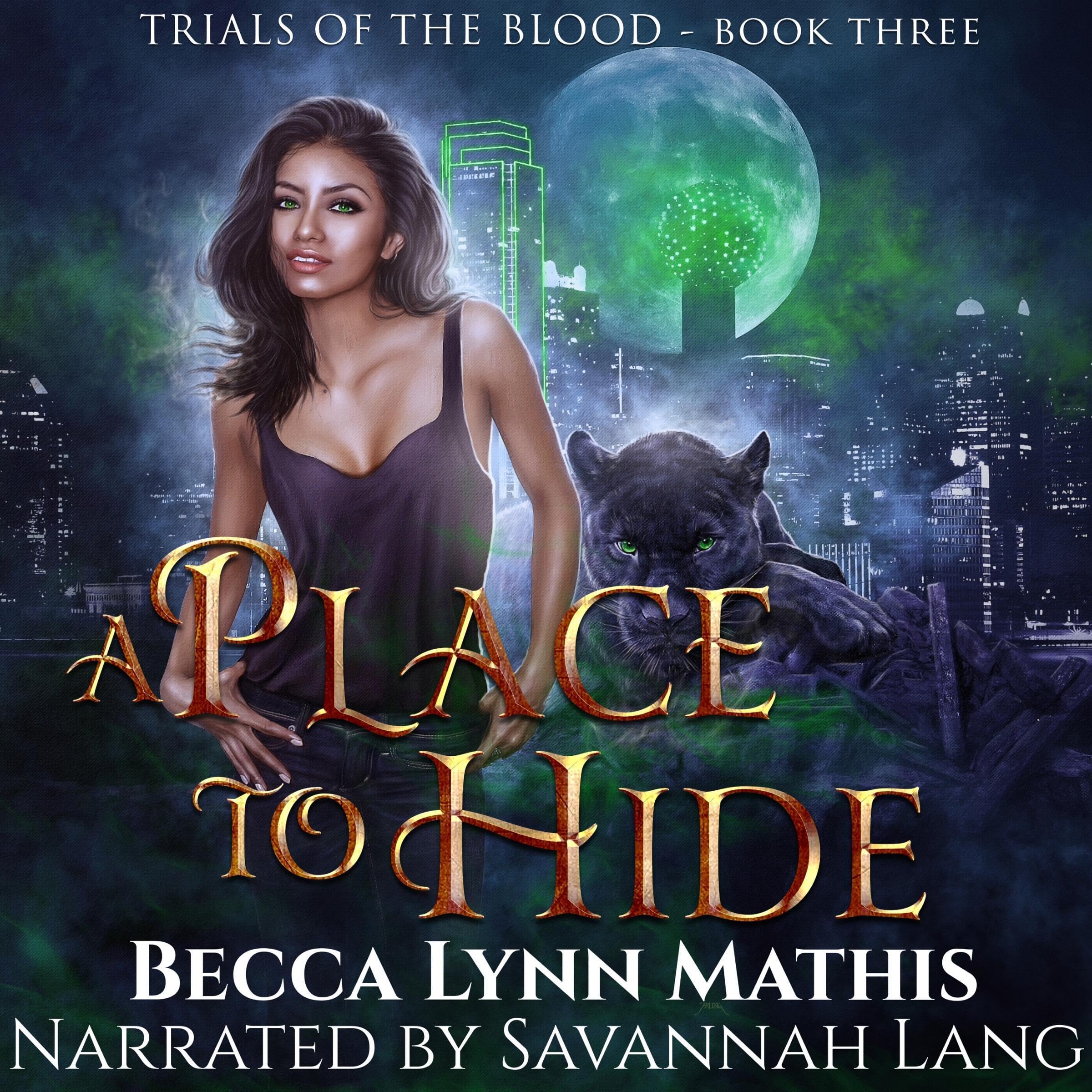 Cover art for A Place to Hide