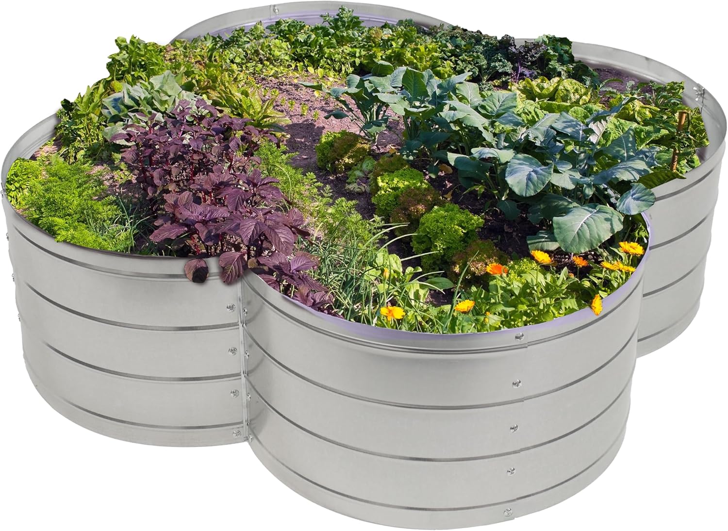 Silver Galvanized Steel 4-Leaf Clover Raised Garden Bed