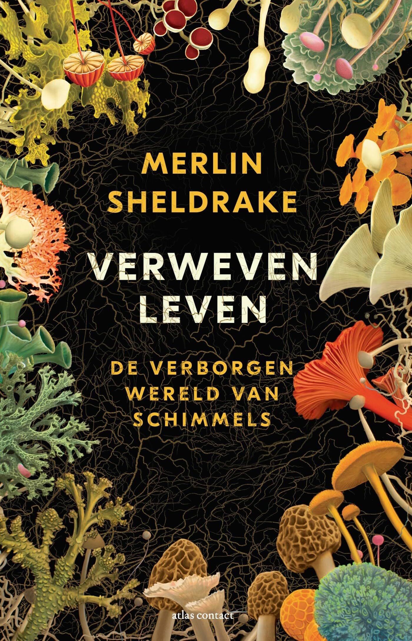 Verweven leven: de verborgen wereld van schimmels