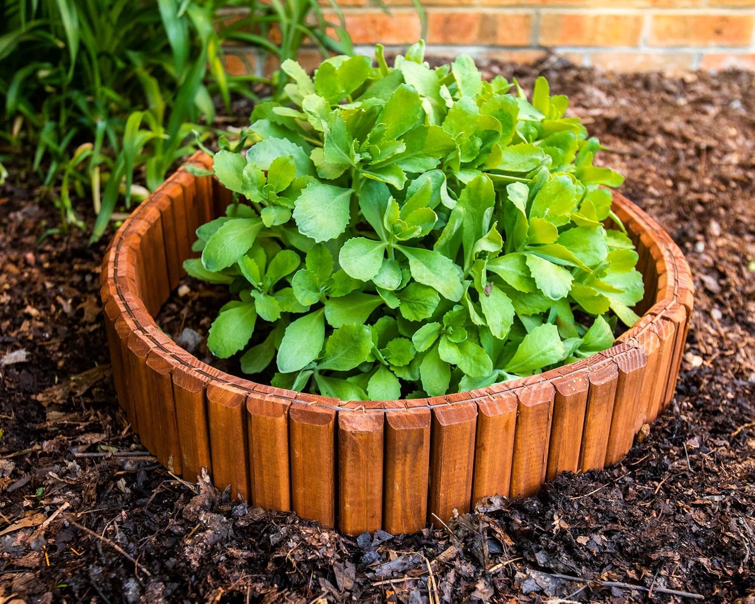 Flexible Brown Natural Lawn & Landscape Border Edging (10 Feet)