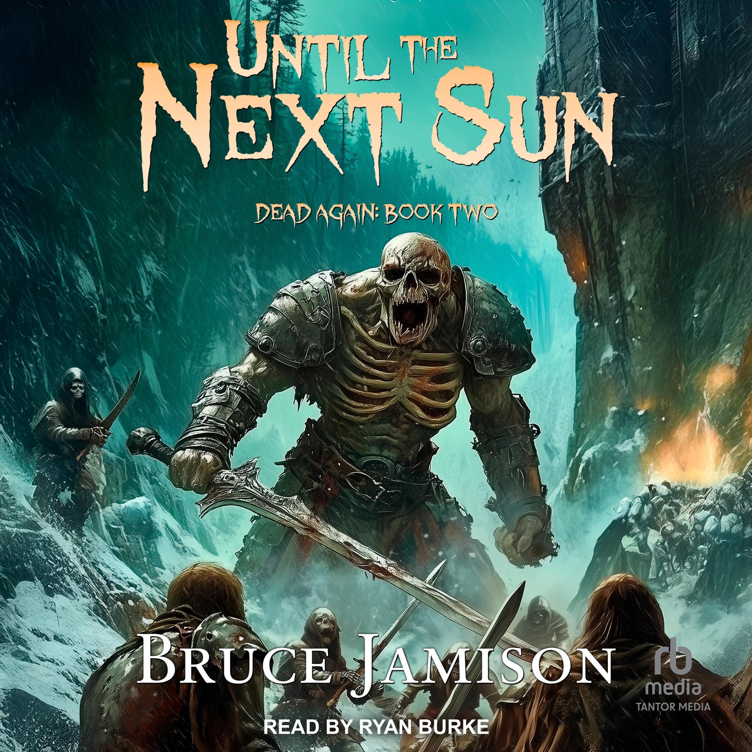 Cover art for Until the Next Sun