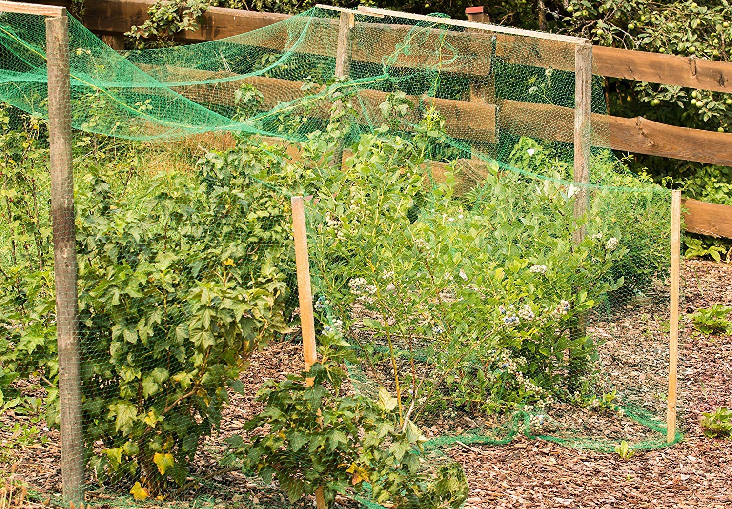 Anti Bird Netting - Protect Your Plants! -4