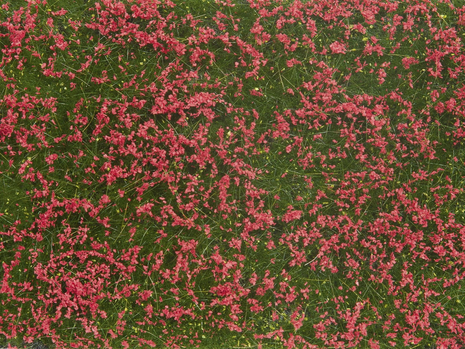 NOCH 07257 Ground Cover Foliage Meadow Red, Multi-Coloured, Colourful, Small