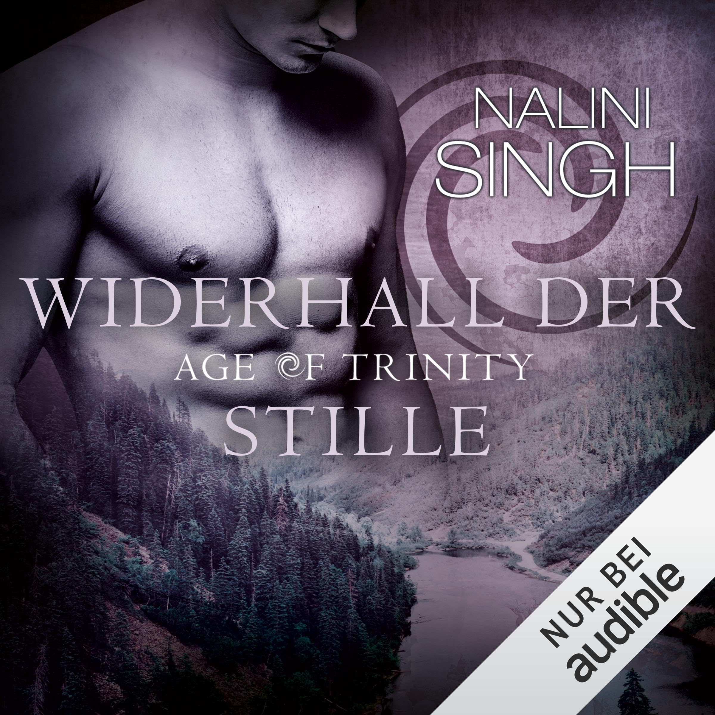 Cover art for Widerhall der Stille