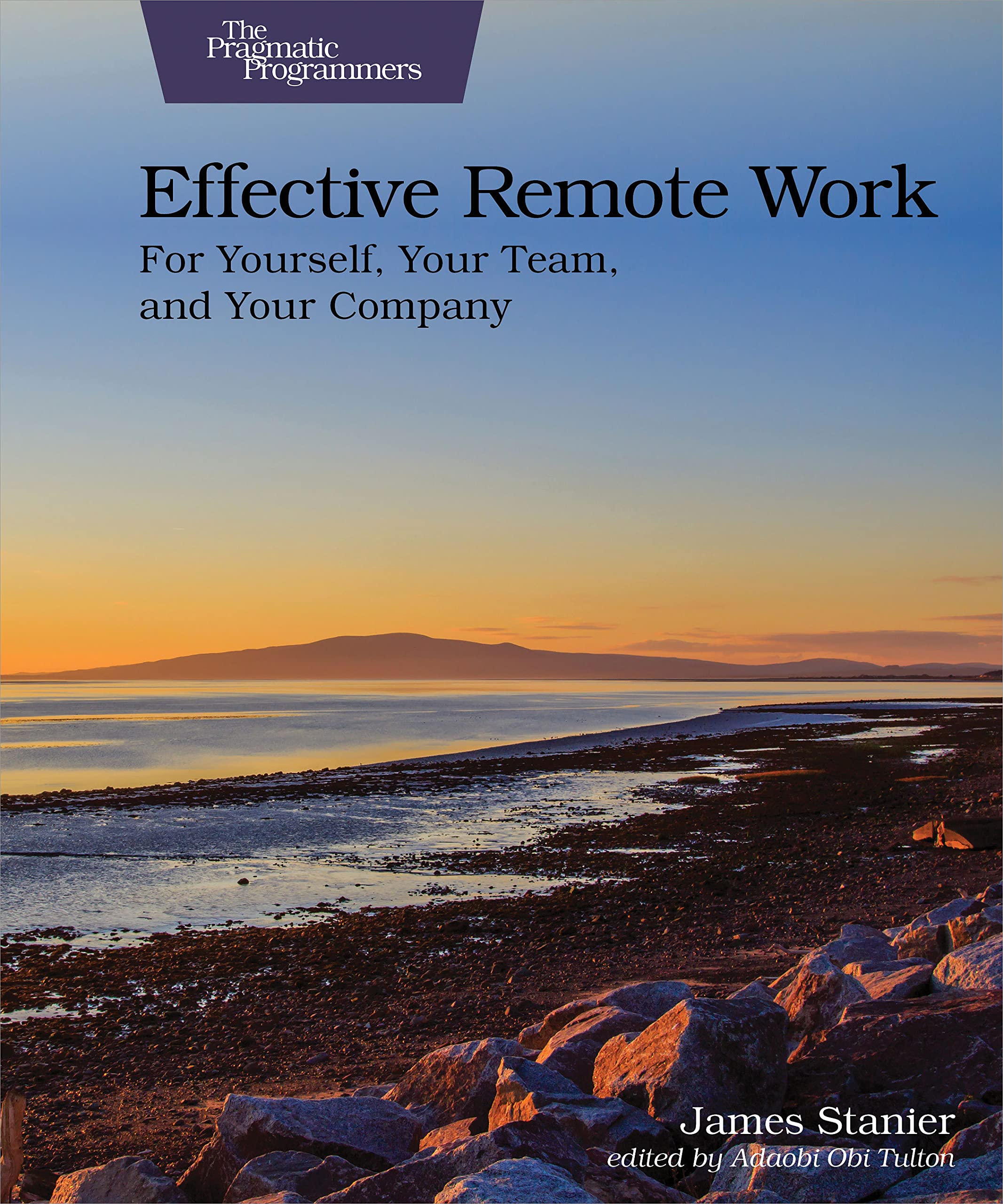 Effective Remote Work by Dr James Stanier - 9781680509229